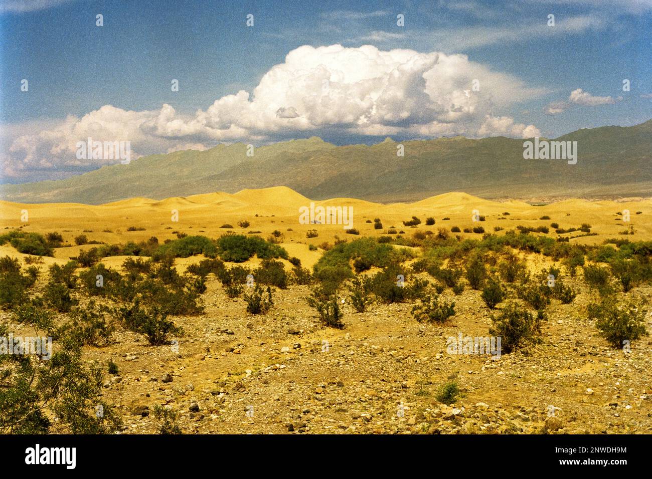 Death Valley National Park Stock Photo Alamy