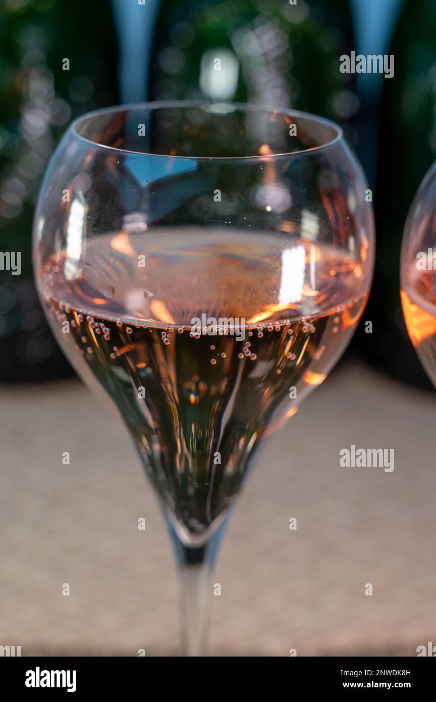 Tasting of rose brut Champagne sparkling wine in cellars of gran cru