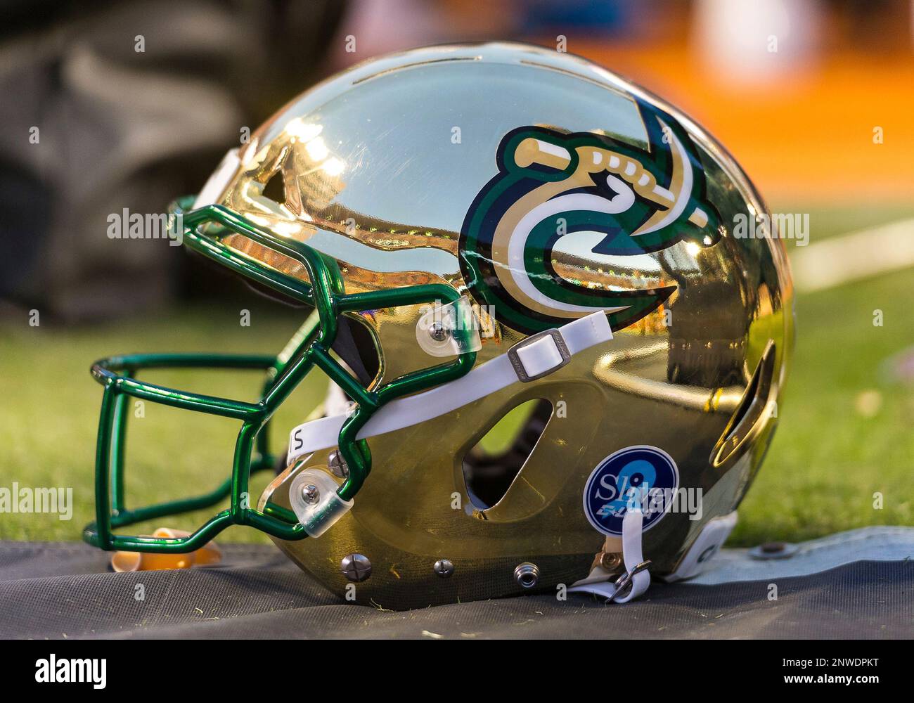 charlotte 49ers football helmet Mini Speed Based on one of the most popular on Charlotte - HELMET HISTORY