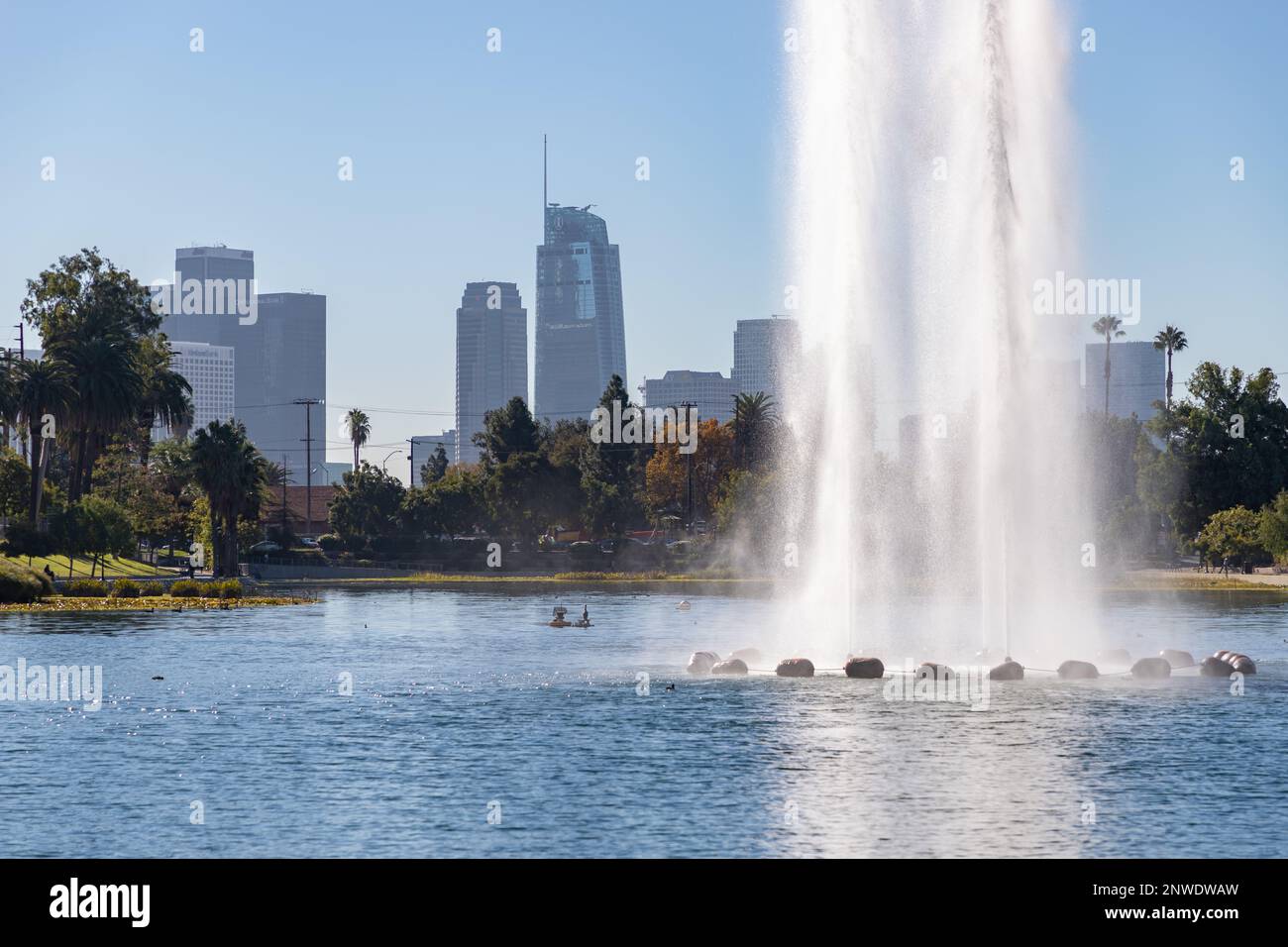 Echo Park Lake in Los Angeles - Explore an Oasis of Fountains and Palm  Trees in Los Angeles – Go Guides