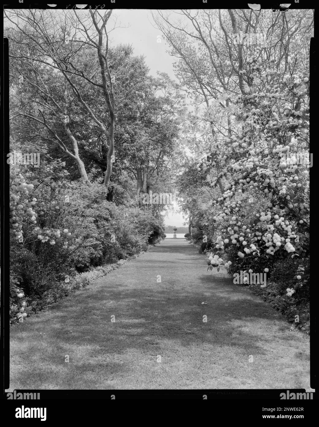 Brandon, Surry vic., Prince County, Virginia. Carnegie Survey of the Architecture of the