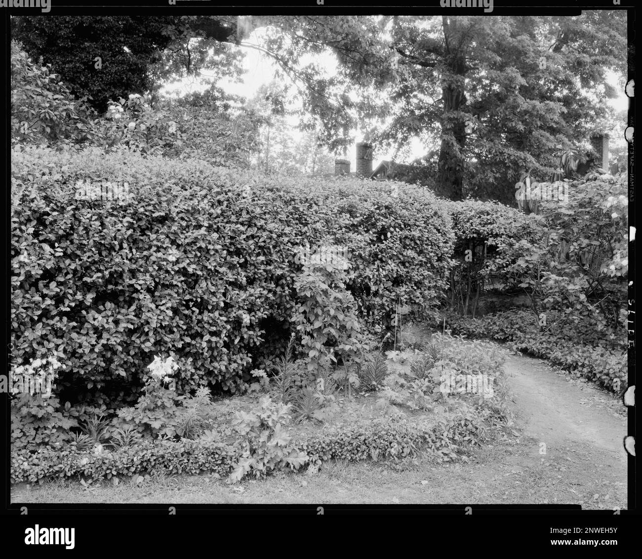 Buckhead Springs, Richmond vic., Henrico County, Virginia. Carnegie Survey of the Architecture of the South. United States  Virginia  Henrico County  Richmond vic, Hedges , Plants, Gardens. Stock Photo