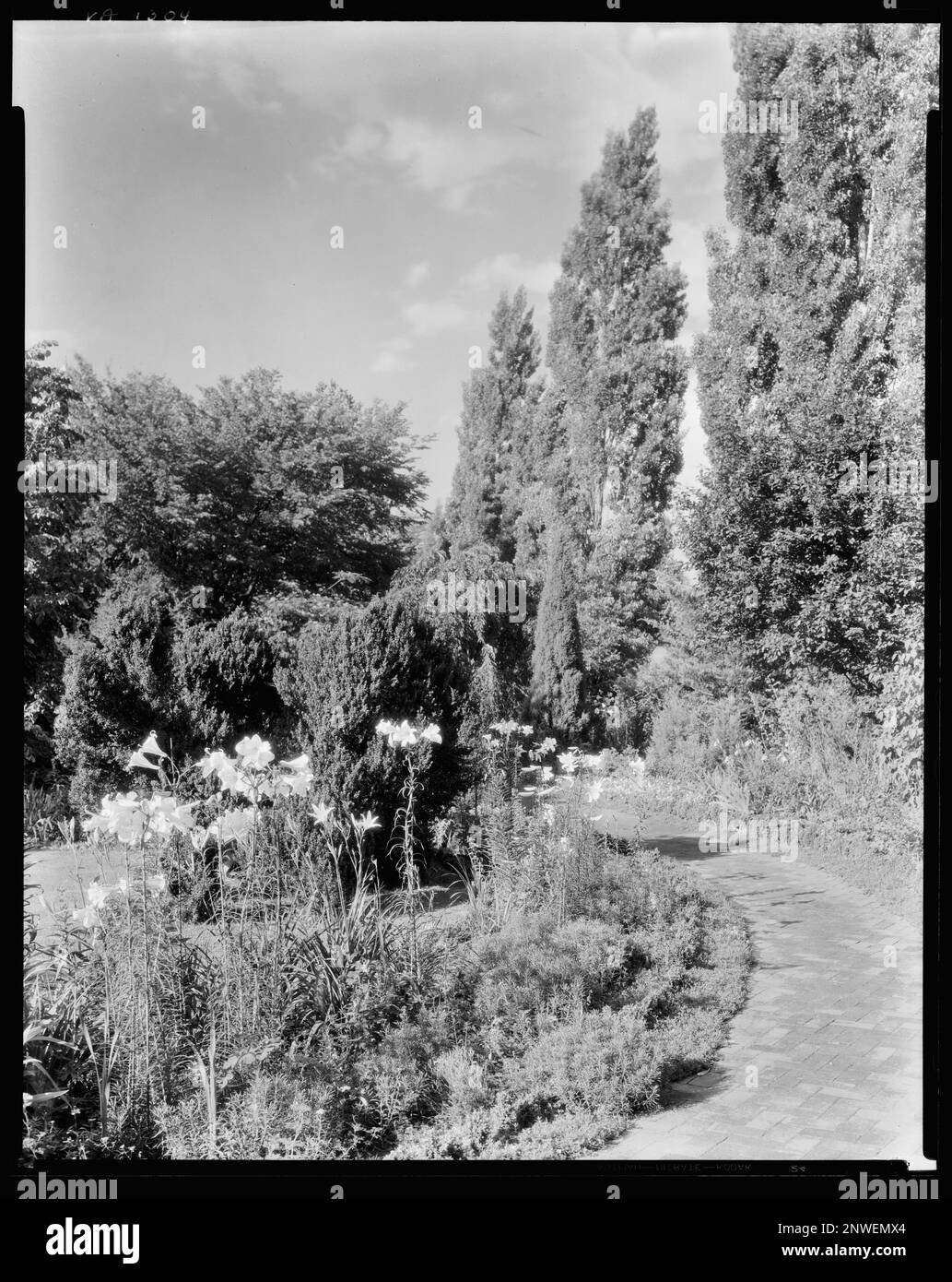 Rose Hill, Greenwood, Albemarle County, Virginia. Carnegie Survey of the Architecture of the South. United States  Virginia  Albemarle County  Greenwood, Trails & paths, Gardens. Stock Photo