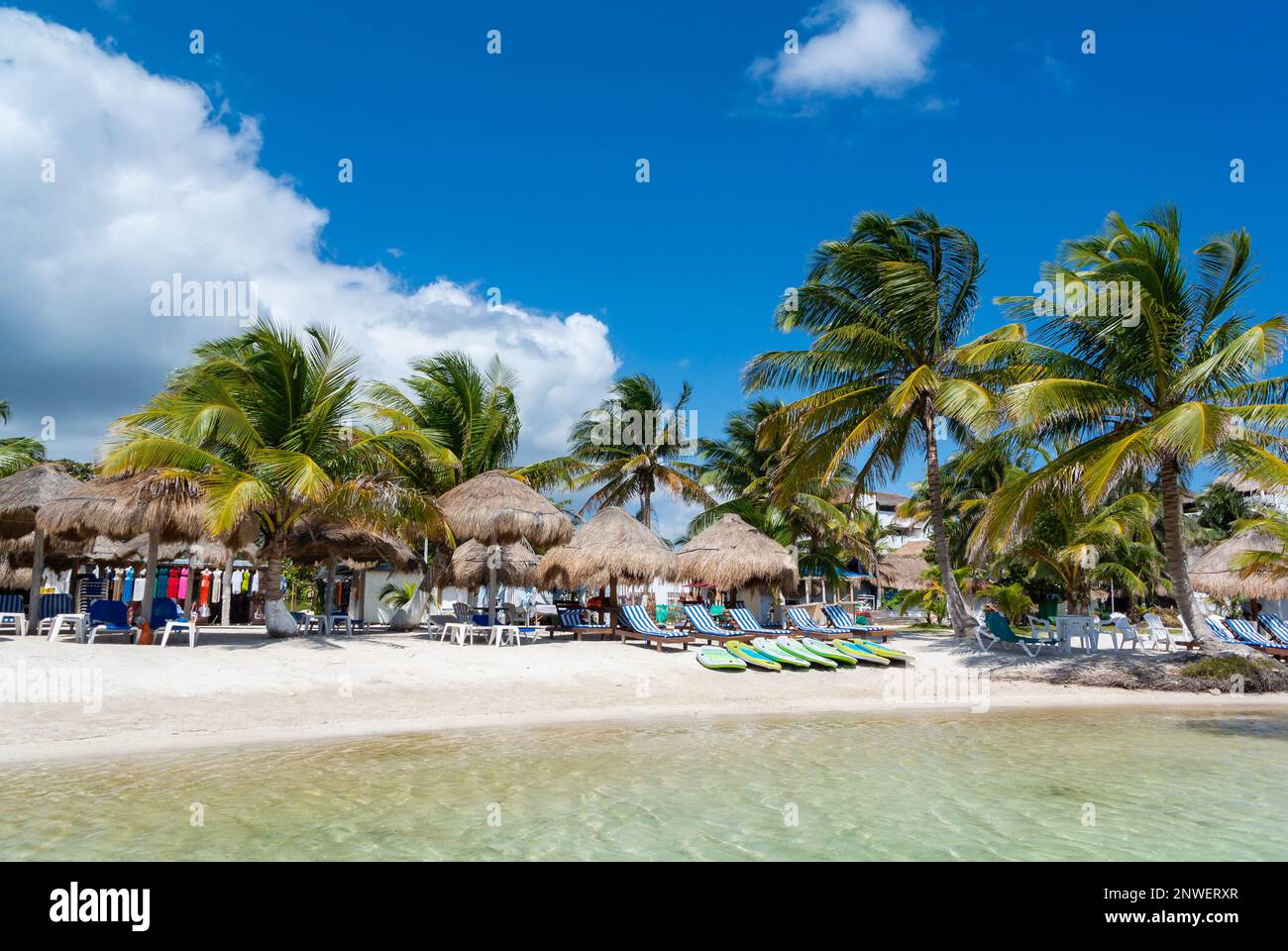 Mahahual, Quintana Roo, Mexico, beach club with long chairs and parasols  with palm trees on Mahahual beach Stock Photo - Alamy