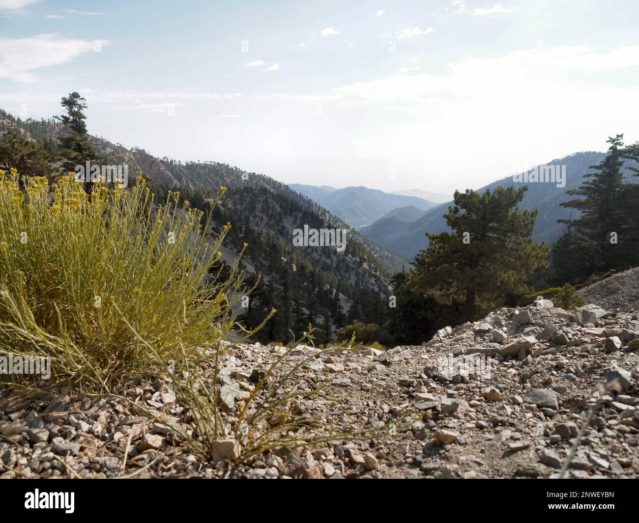 Mount San Antonio, California, USA - July 31 2017 - a view of the San Gabriel Mountains from the top of Mount Baldy Stock Photo