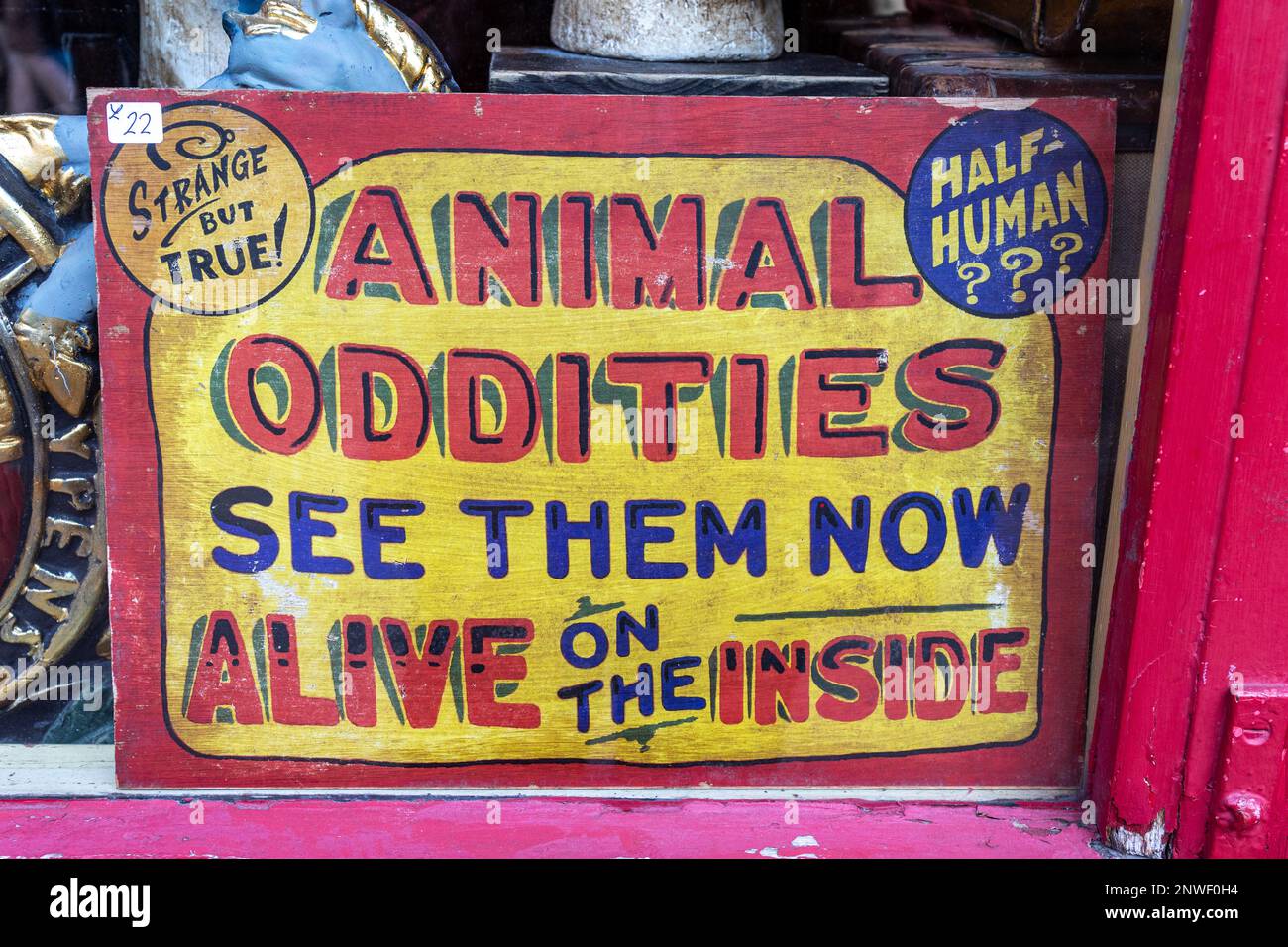 Animal Oddities sign on display window of Alice's antique store on