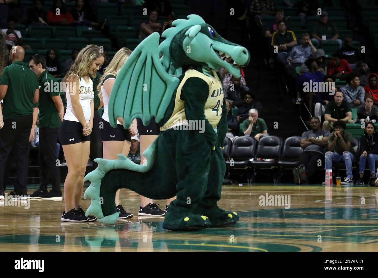 BIRMINGHAM, AL - OCTOBER 18: Blaze, the UAB mascot durin the game ...