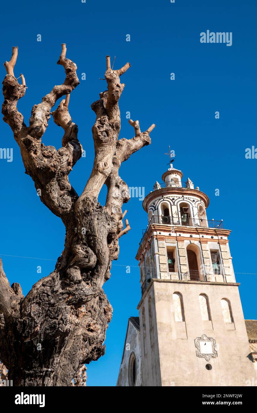 Bell tower of the Iglesia Mayor de Sanlucar de Barrameda, town of Cadiz, Spain Stock Photo