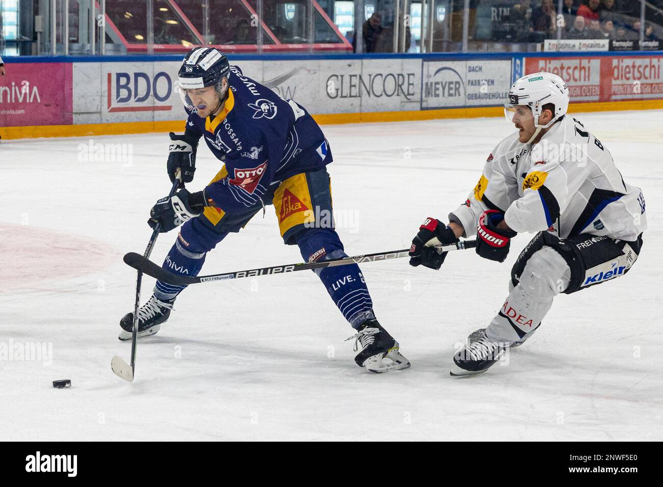 zug-switzerland-28-02-2023-christoph-bertschy-28-fribourg-gotteron