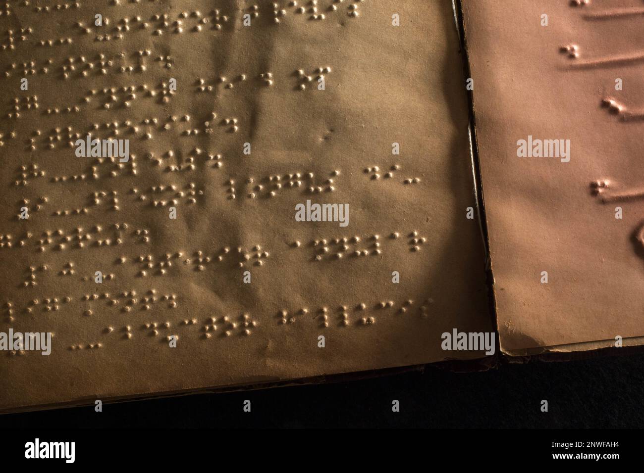 January is World Braille Month in honor of Louis Braille who was born