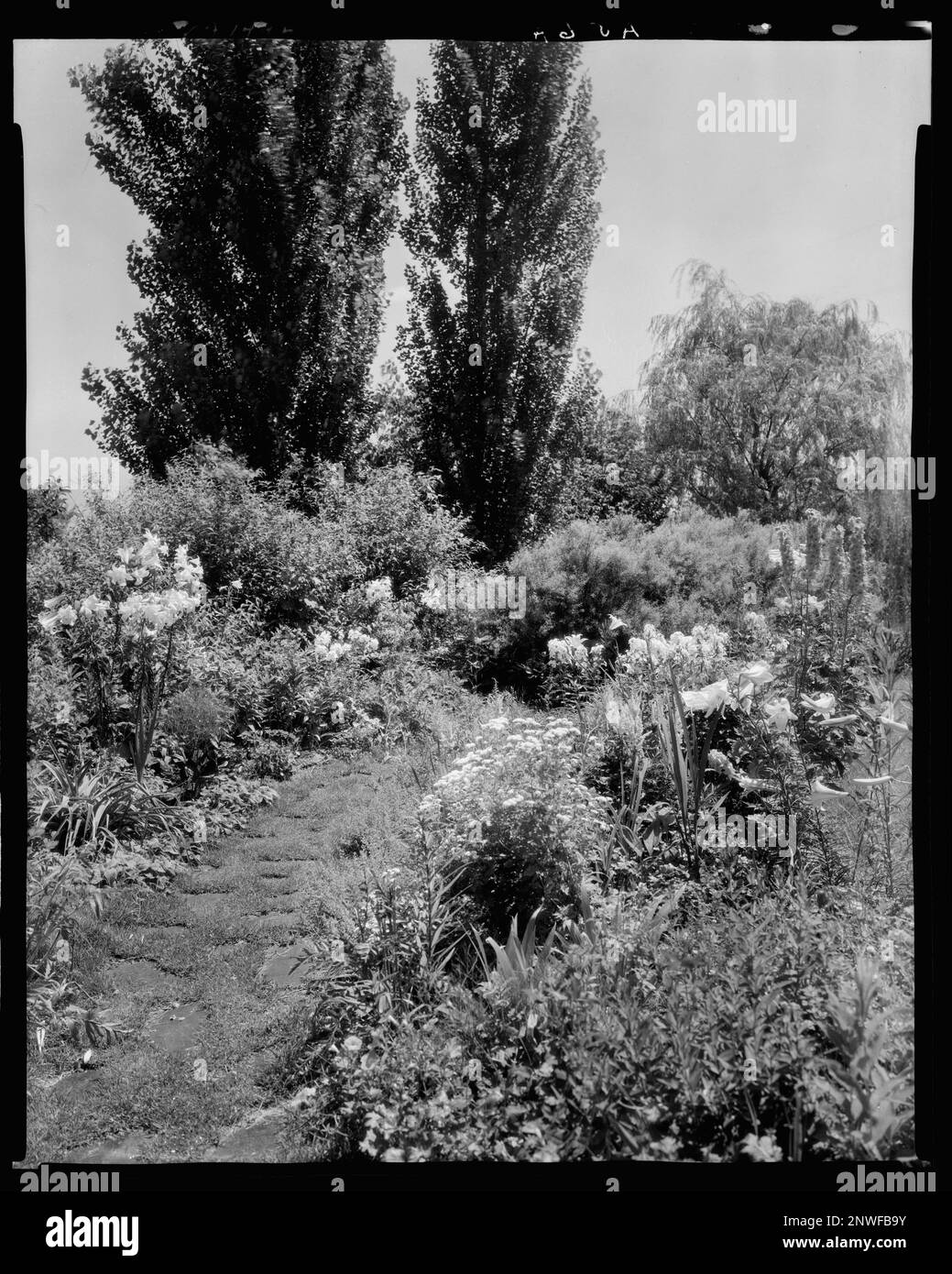 Martha's Farm, Lynchburg, Campbell County, Virginia. Carnegie Survey of