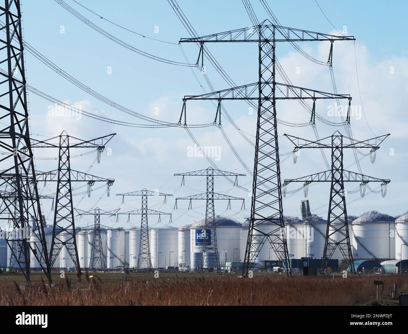 many high voltage power electicity lines masts towers in the port area of Rotterdam the Netherlands. The port of Rotterdam is the biggest energy user Stock Photo