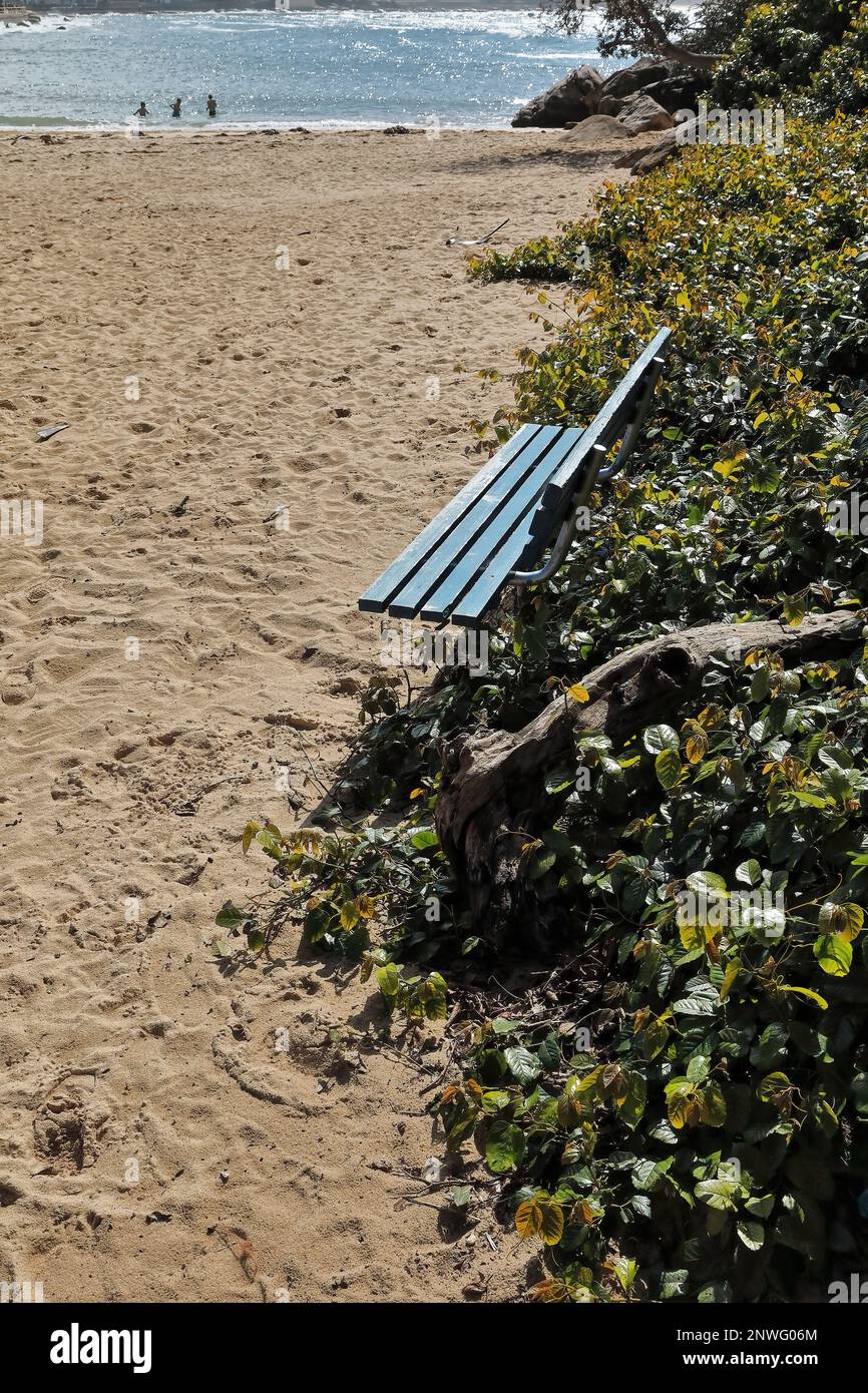 515 Green bench on the sand of the north side of Shelly Beach. Manly suburb-Sydney-Australia. Stock Photo