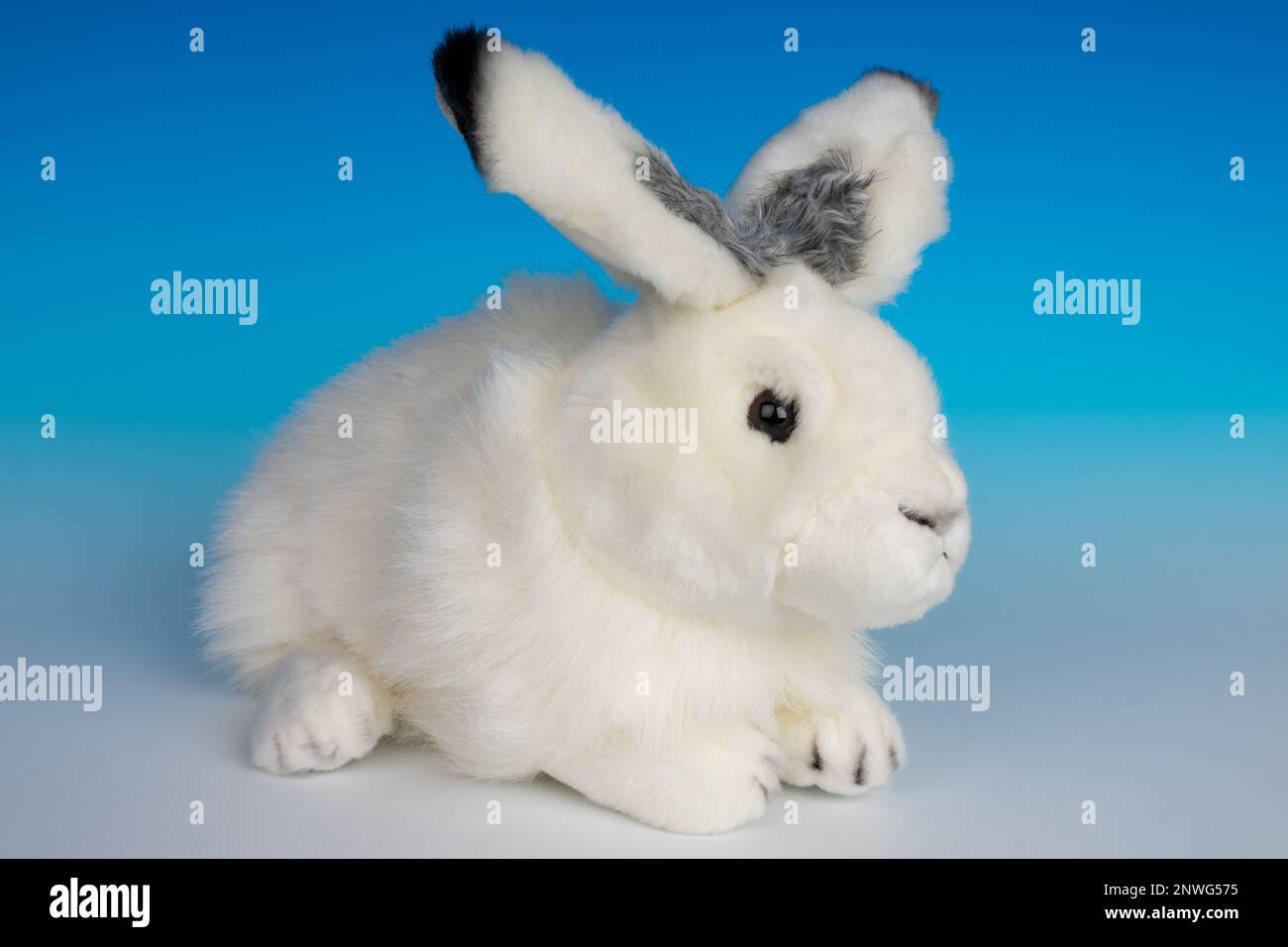 Arctic Hare stuffed animal on a blue and white seamless background. Stock Photo