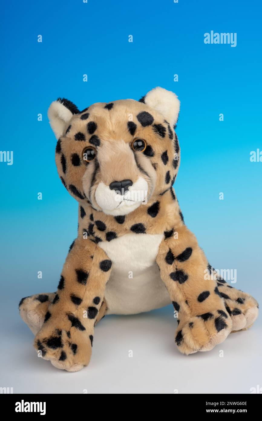 Cheetah stuffed animal on a blue and white seamless background. Stock Photo