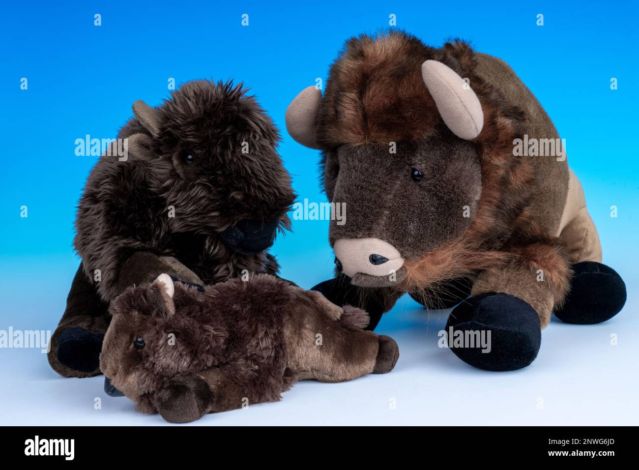 Father, mother and baby Bison stuffed animals on a blue and white