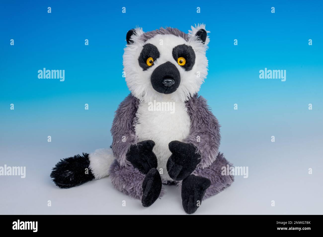 Ring-tailed Lemur stuffed animal on a blue and white seamless background  Stock Photo - Alamy
