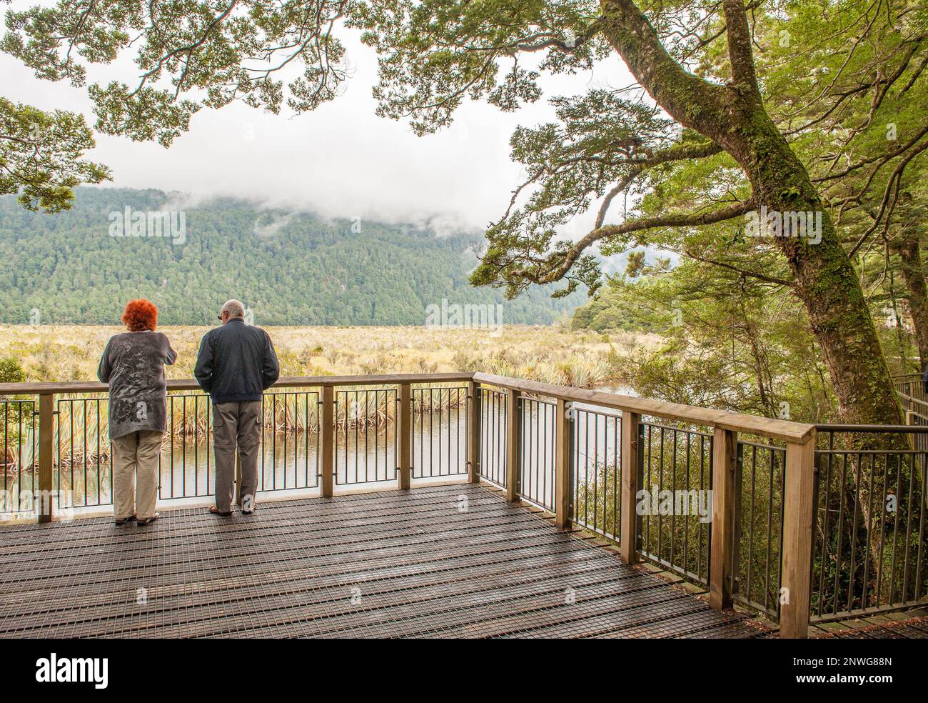 Mirror Lakes viewed from the Milford Road between Te Anau and Milford Sound in New Zealand. This