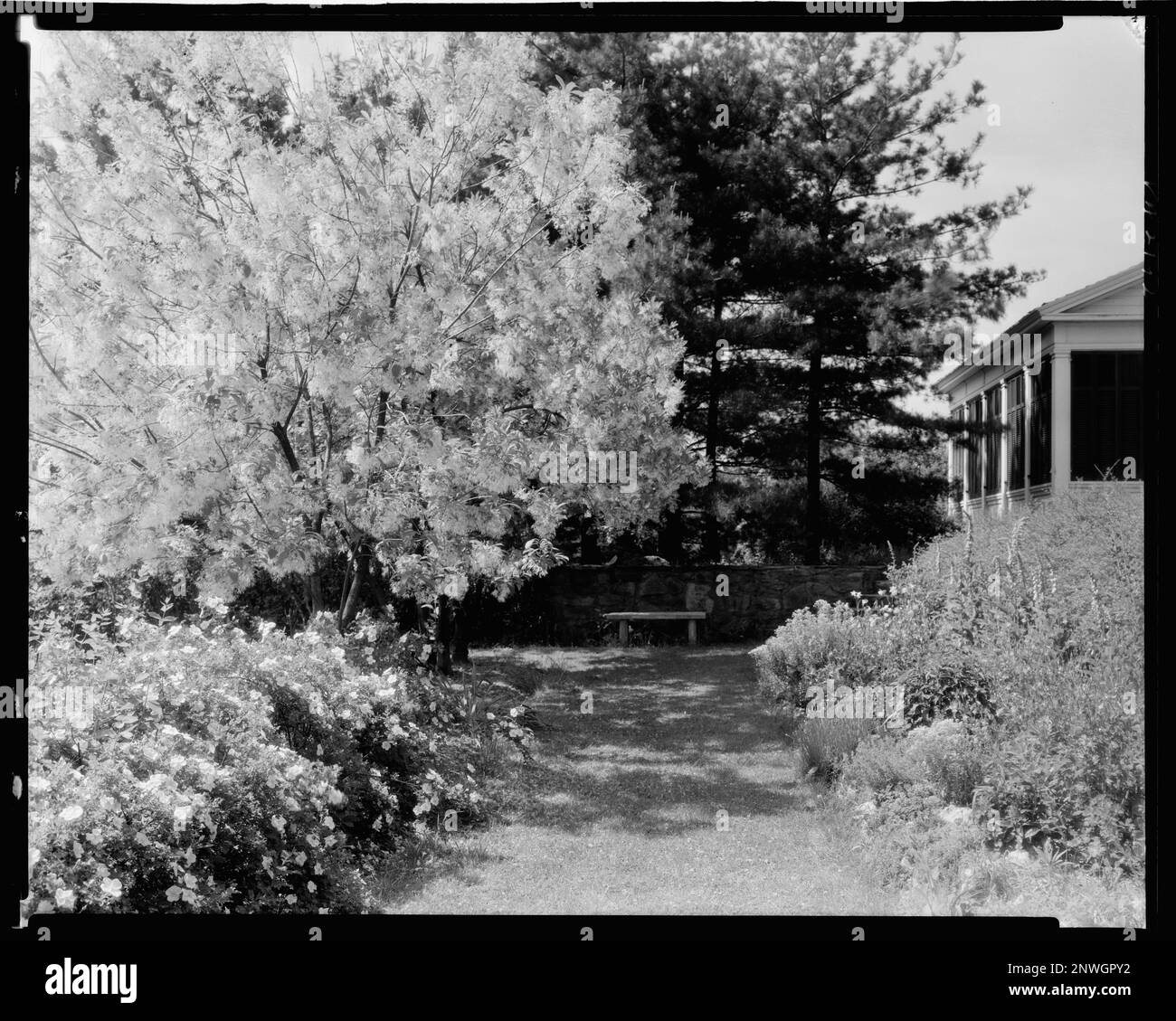 Belvoir, Warrenton, Fauquier County, Virginia. Carnegie Survey of the