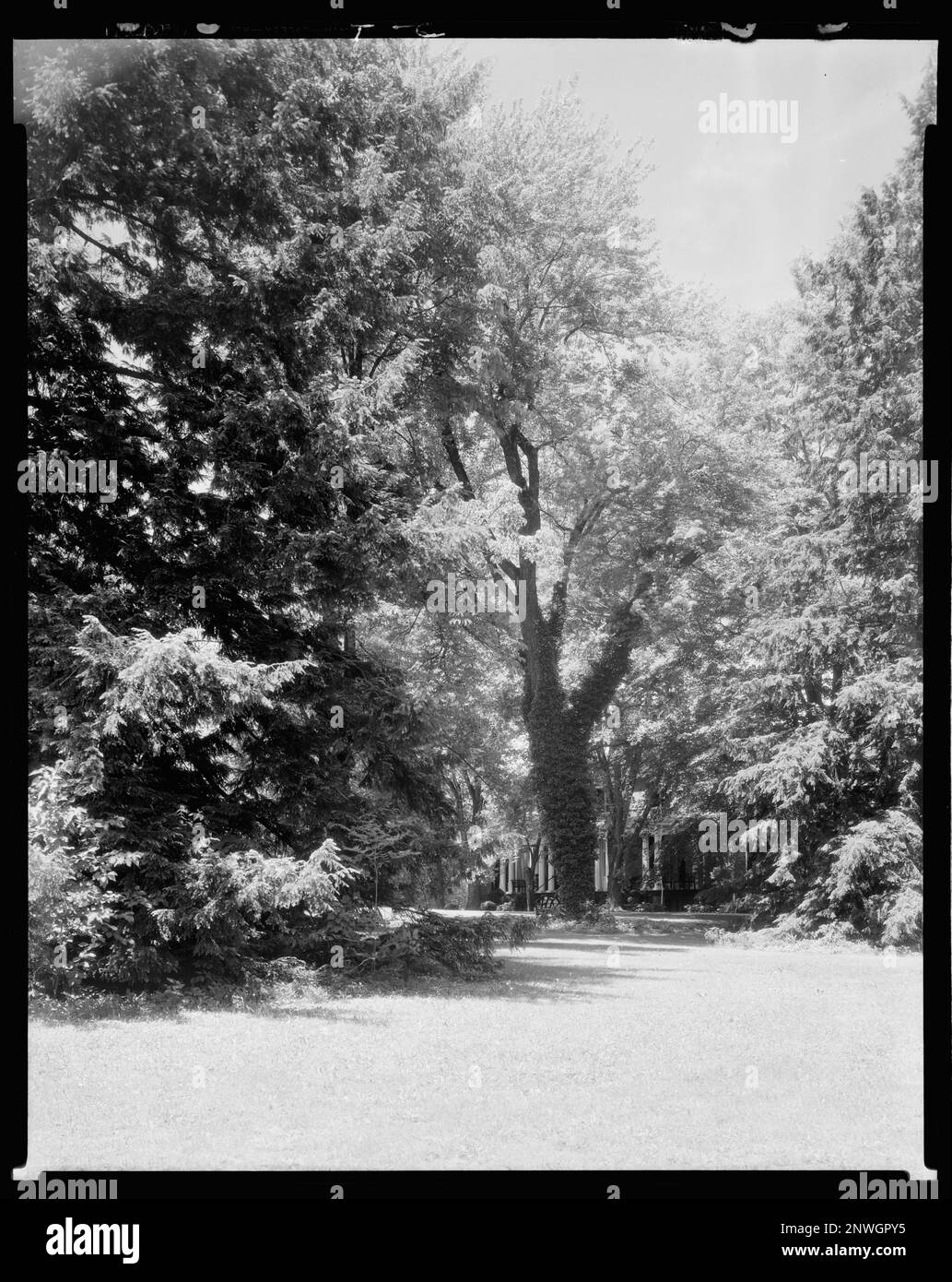 Enniscorthy, Green Mountain, Albemarle County, Virginia. Carnegie
