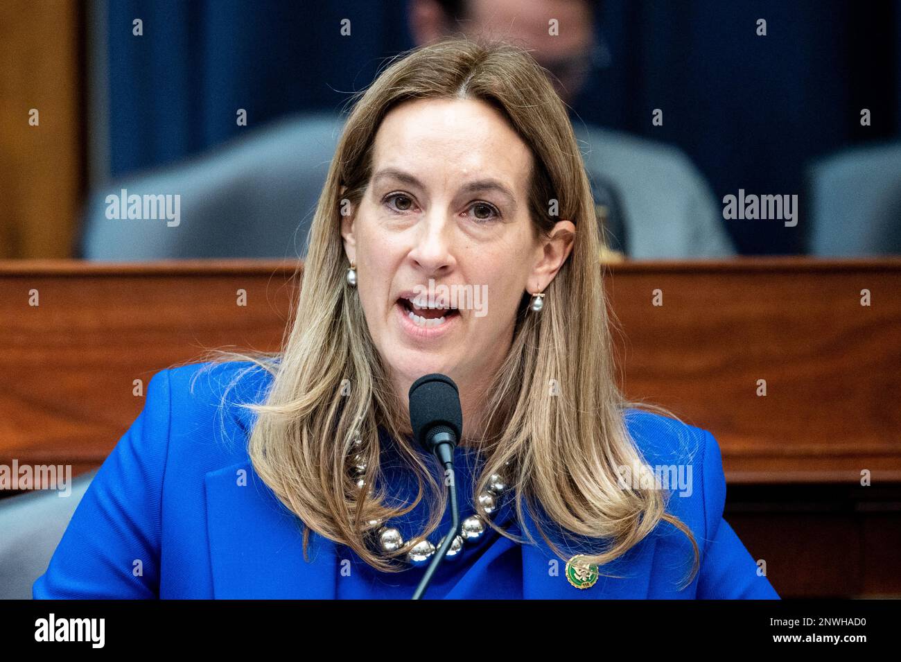 Washington, United States. 28th Feb, 2023. U.S. Representative Mikie