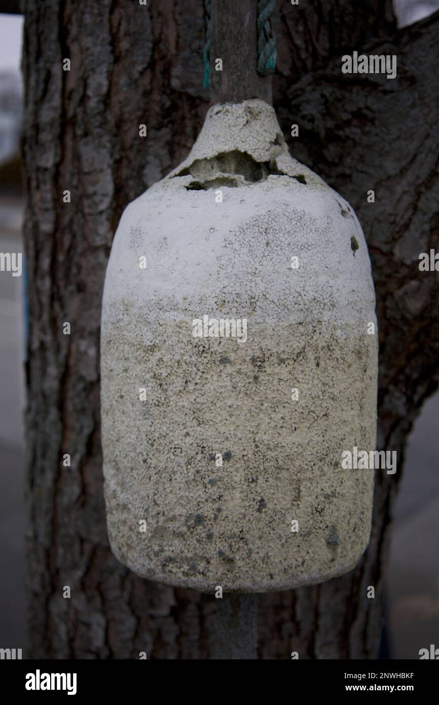 Grungy, white buoy hanging from a tree in a seaside Connecticut town Stock Photo