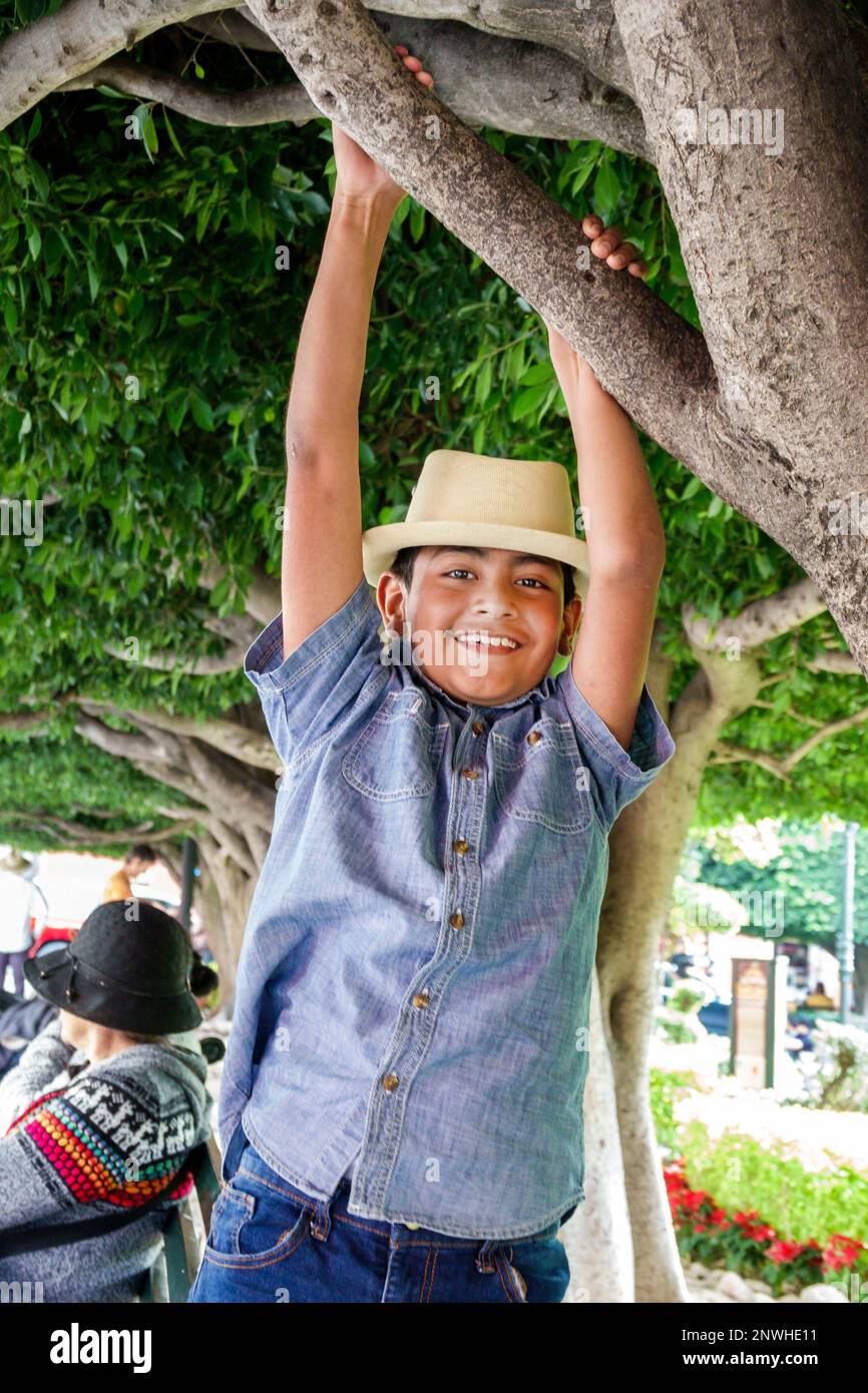 San Miguel de Allende Guanajuato Mexico,Historico Central historic center Zona Centro,wearing hat hats fedora fedoras,swinging hanging from tree branc Stock Photo