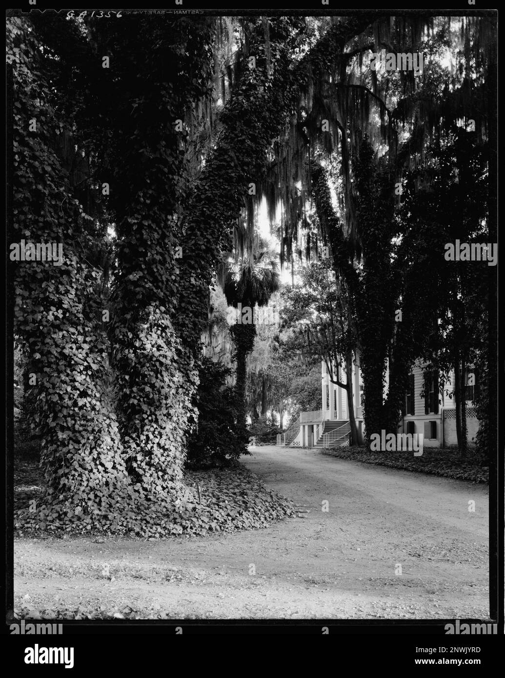 Wormsloe Plantation, Savannah vic., Chatham County, Carnegie