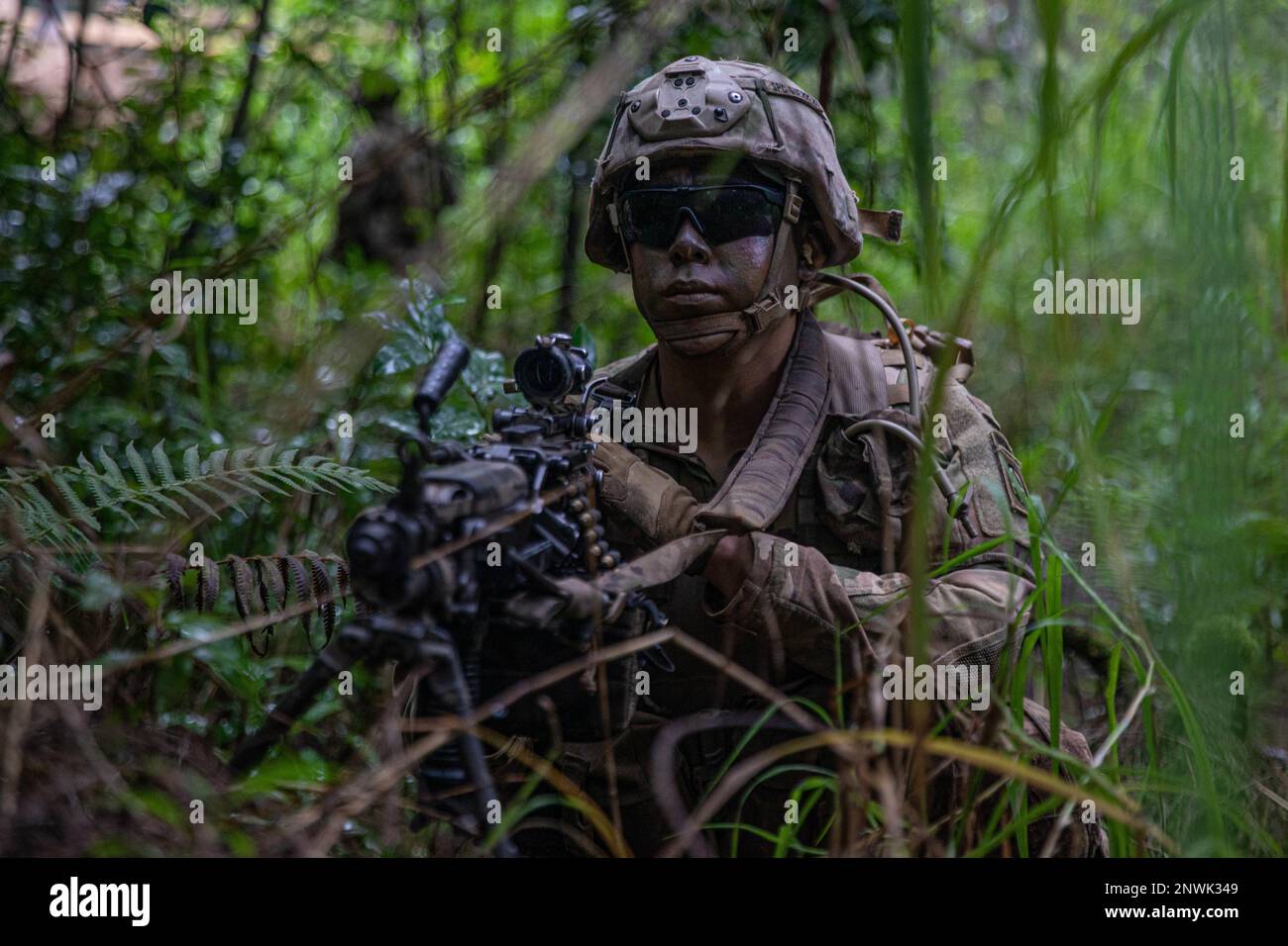 325th infantry regiment hi-res stock photography and images 325th infantry regiment hi-res stock photography and images