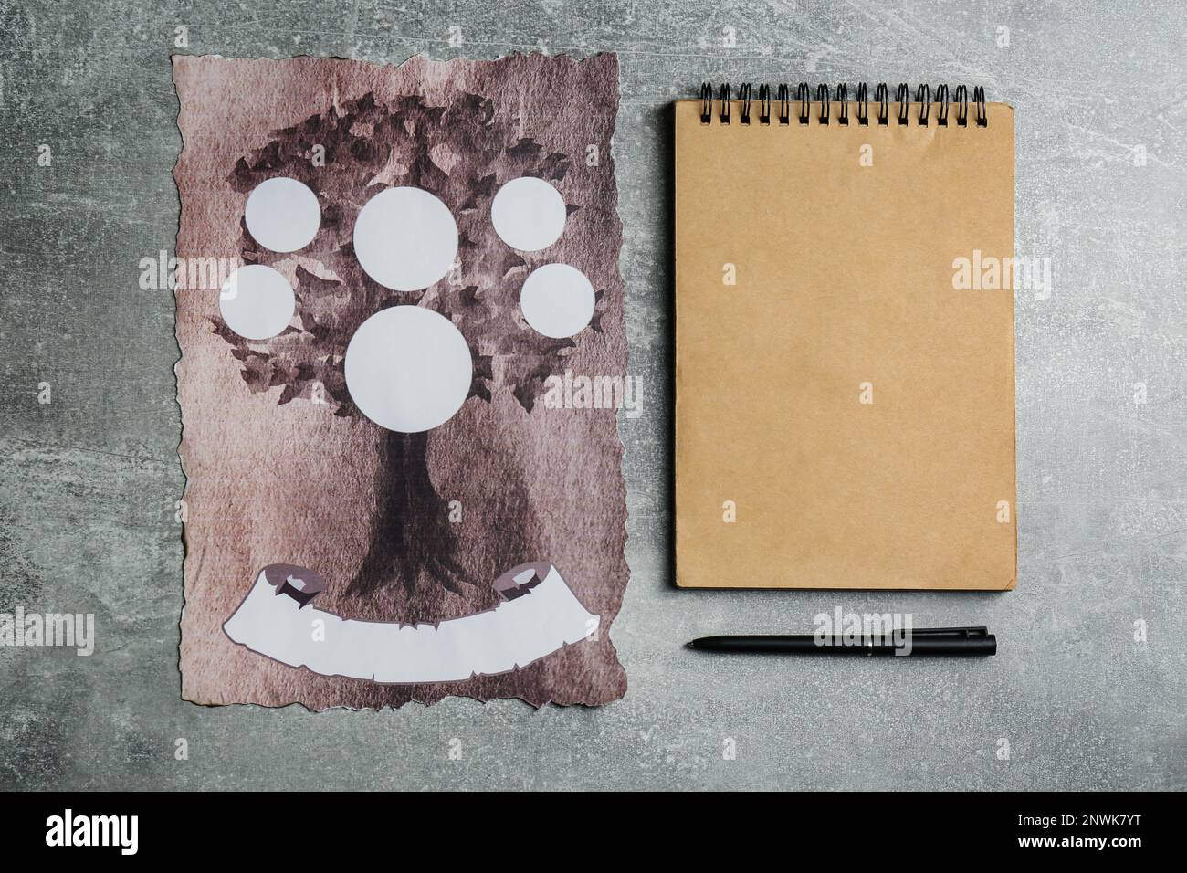 Blank family tree, notebook and pencil on wooden table, flat lay. Mockup  for design Stock Photo - Alamy