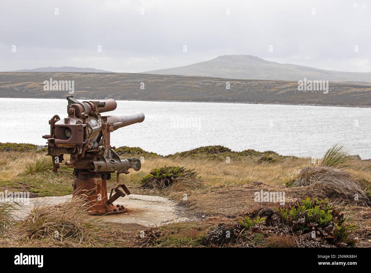 A British Field Gun from the First World War, near Gypsy Cove, on the Falkland Islands. Stock Photo
