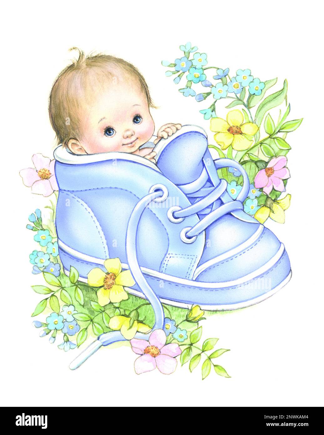 Boy shoe Cut Out Stock Images & Pictures Alamy