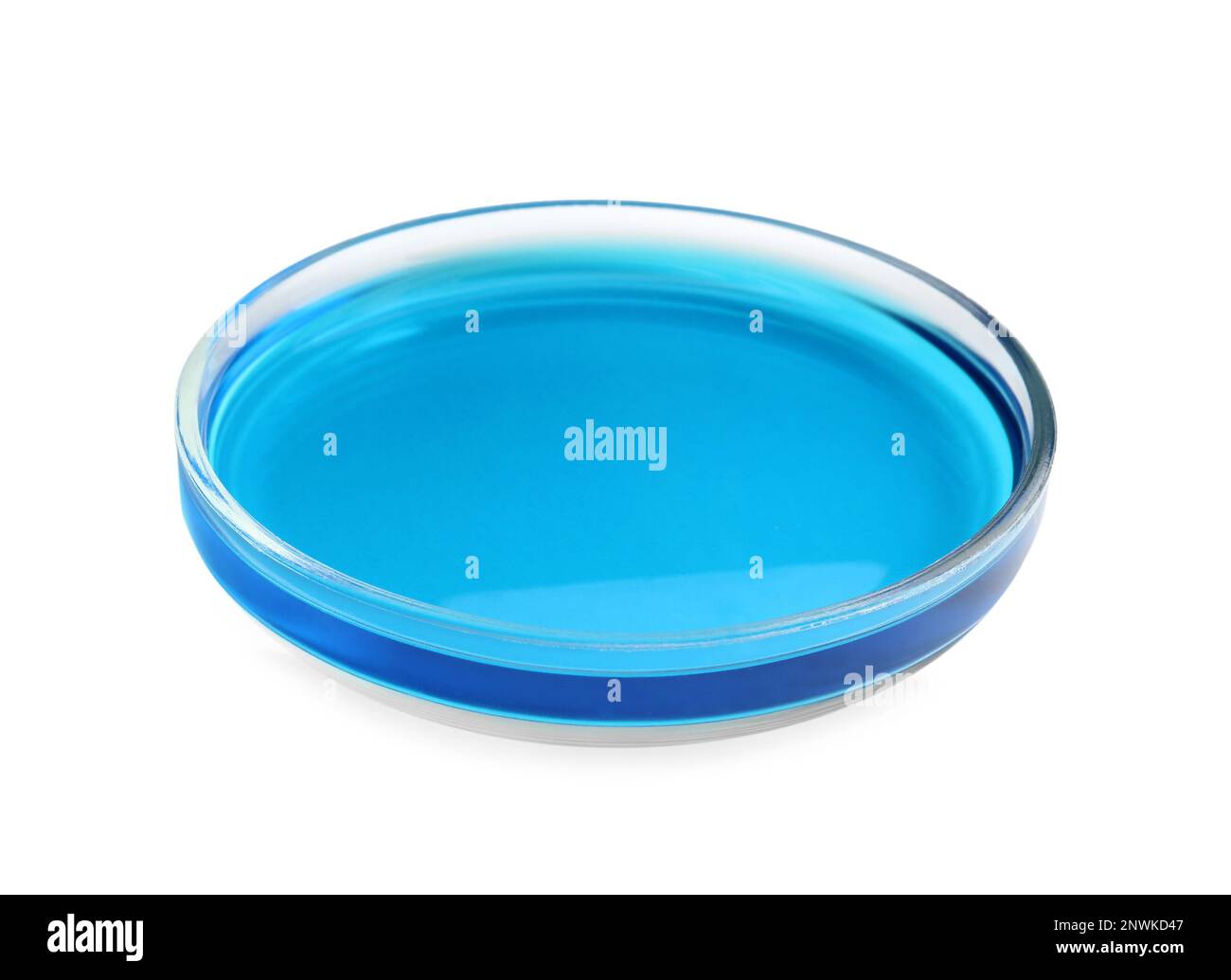 Petri dish with blue liquid sample isolated on white Stock Photo Alamy