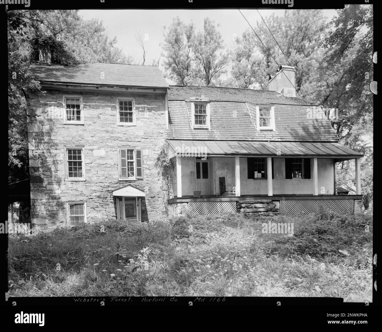 ster's Forest, Churchville vic., Harford County, Maryland. Carnegie