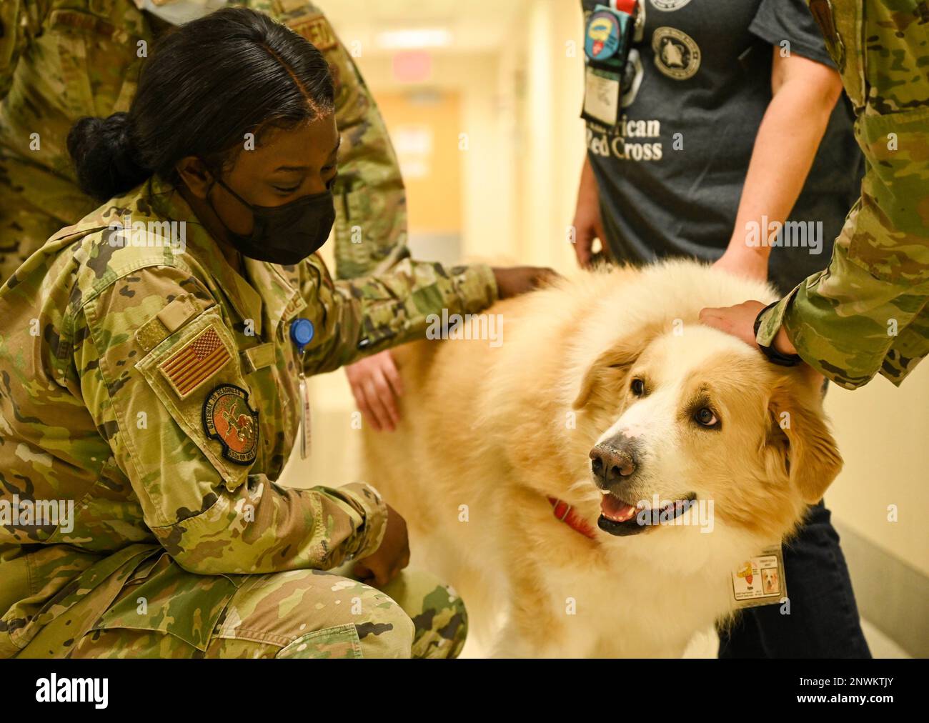 Carrollton and virginia hi-res stock photography and images - Alamy
