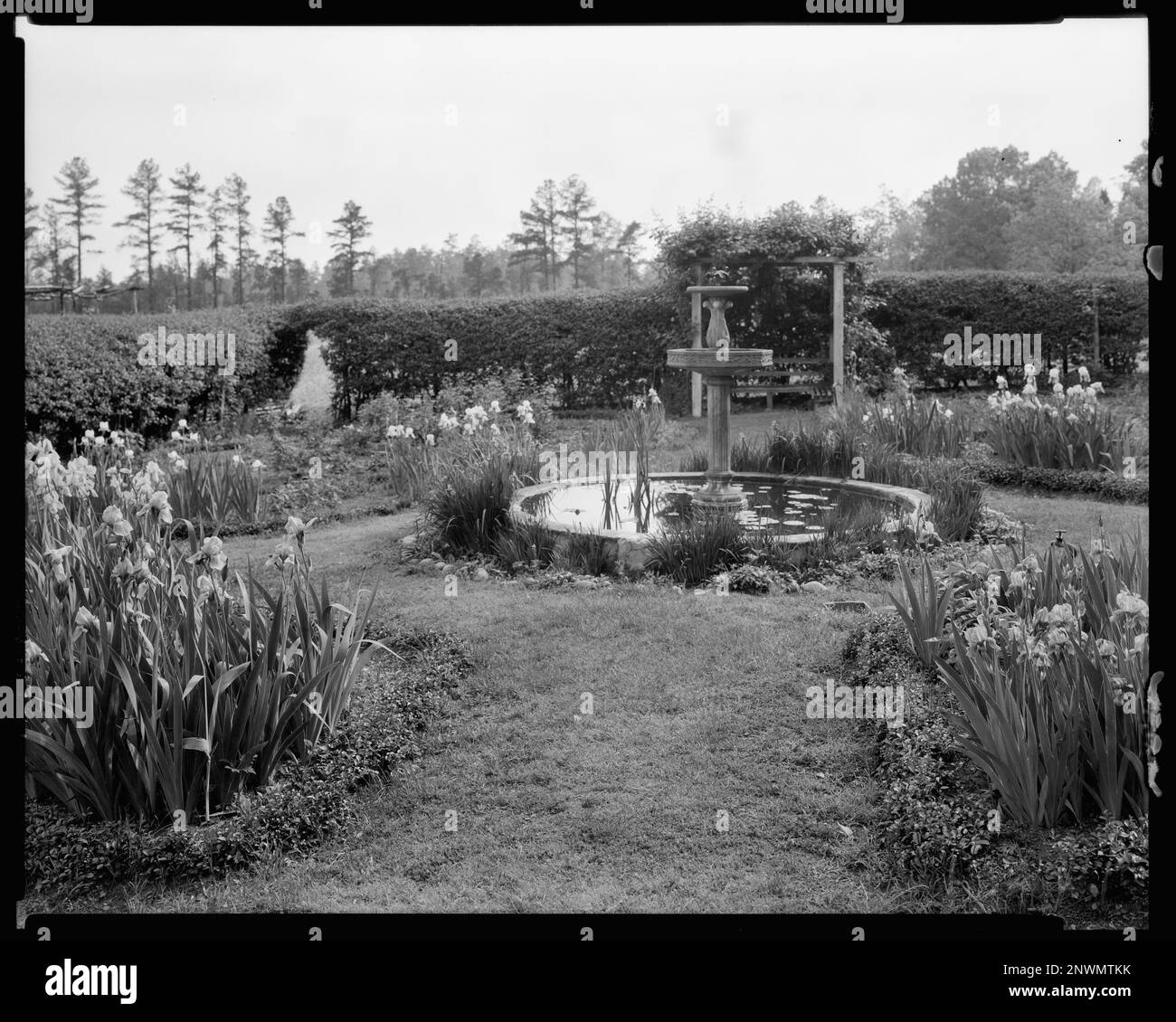 Buckhead Springs, Richmond vic., Henrico County, Virginia. Carnegie Survey of the Architecture of the South. United States  Virginia  Henrico County  Richmond vic, Lily ponds, Flowers, Gardens. Stock Photo