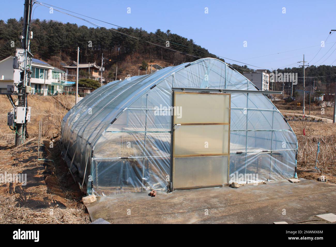 Clear plastic tarp greenhouse in Korean countryside Stock Photo Alamy