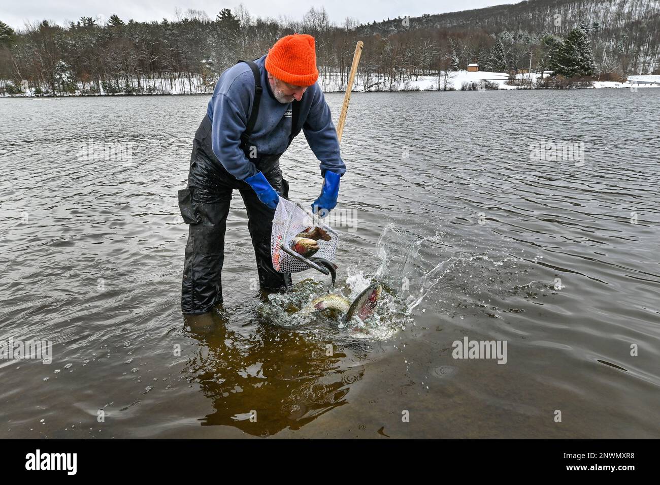 401 Kids Trout Fishing Stock Photos, High-Res Pictures, and Images