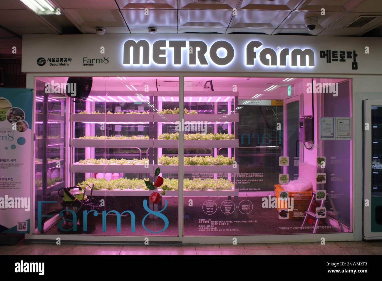 Metro Farm organic vegetable growing facility in underground subway station Stock Photo