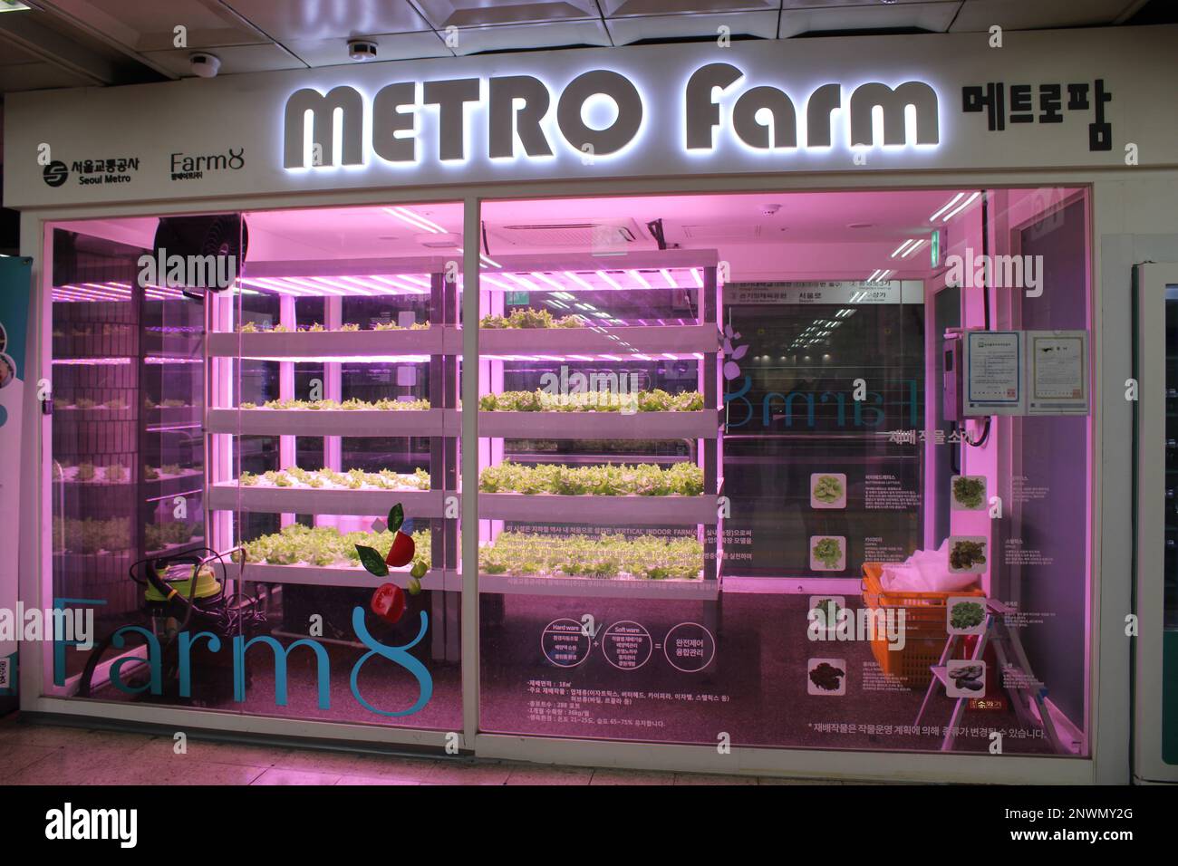 Metro Farm organic vegetable growing facility in underground subway station Stock Photo