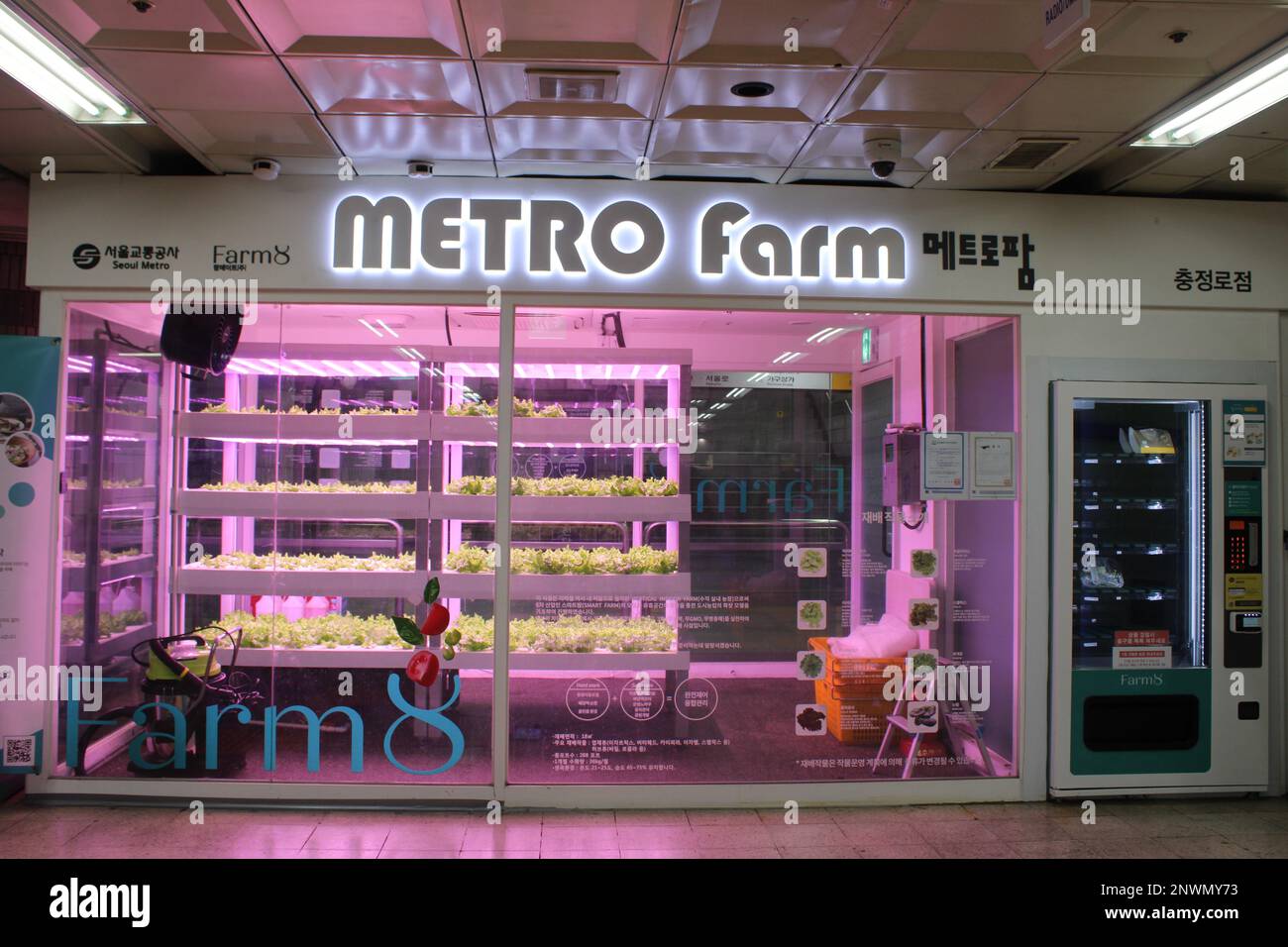 Metro Farm organic vegetable growing facility in underground subway station Stock Photo