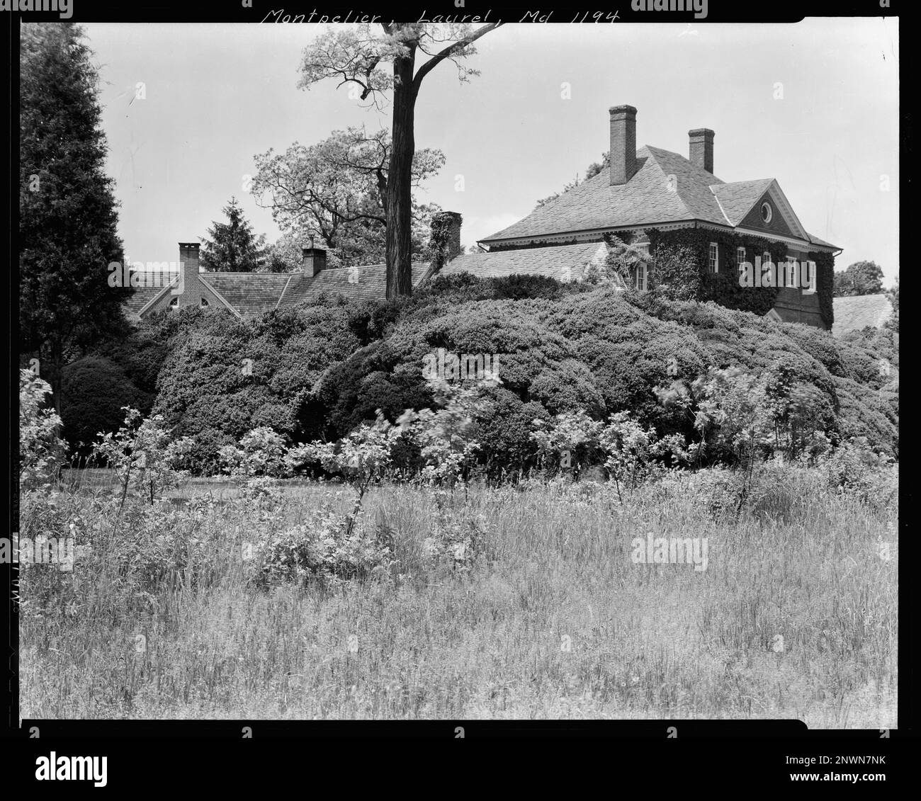 Montpelier, Laurel vic., Prince County, Maryland. Carnegie Survey of the Architecture