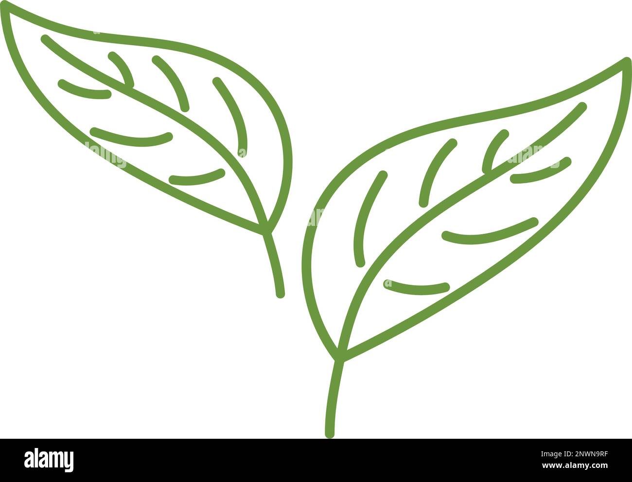 Leaf green nature icon design template isolated Stock Vector Image ...