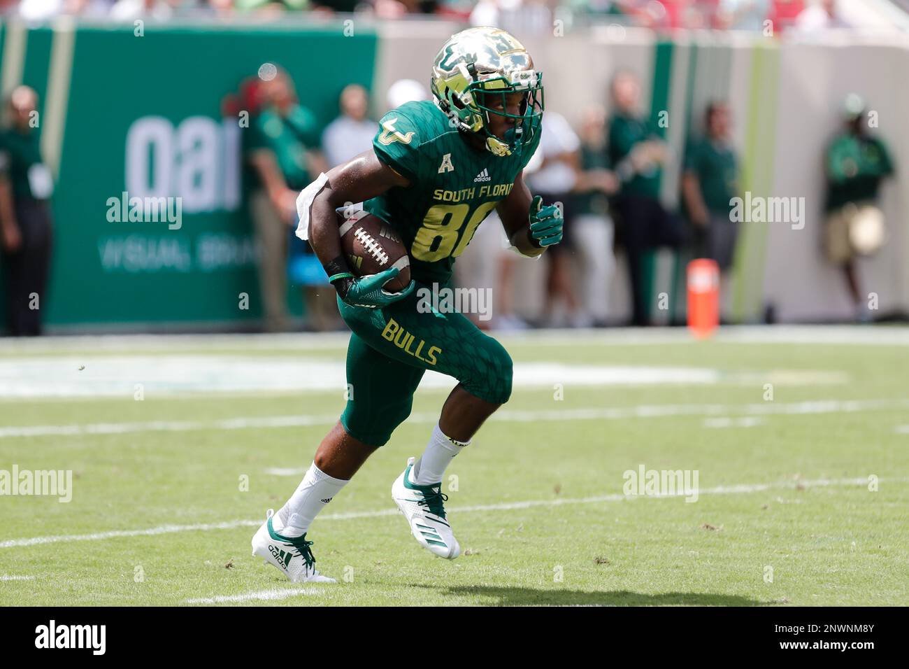 TAMPA, FL - SEPTEMBER 08: South Florida Bulls wide receiver Terrence ...