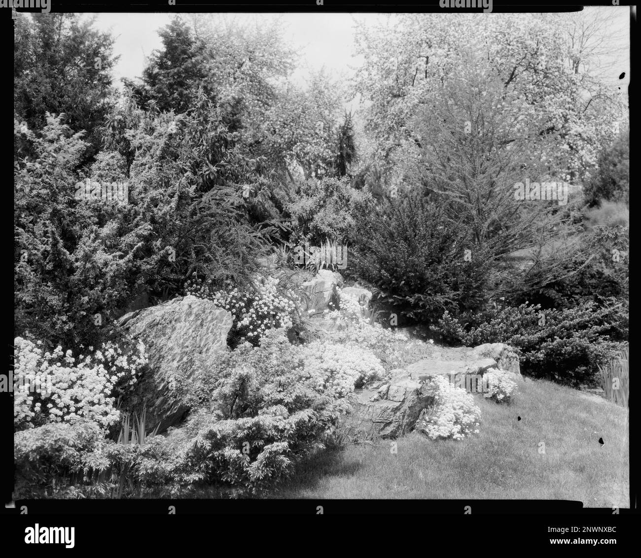 Scalesby, Boyce vic., Fauquier County, Virginia. Carnegie Survey of the