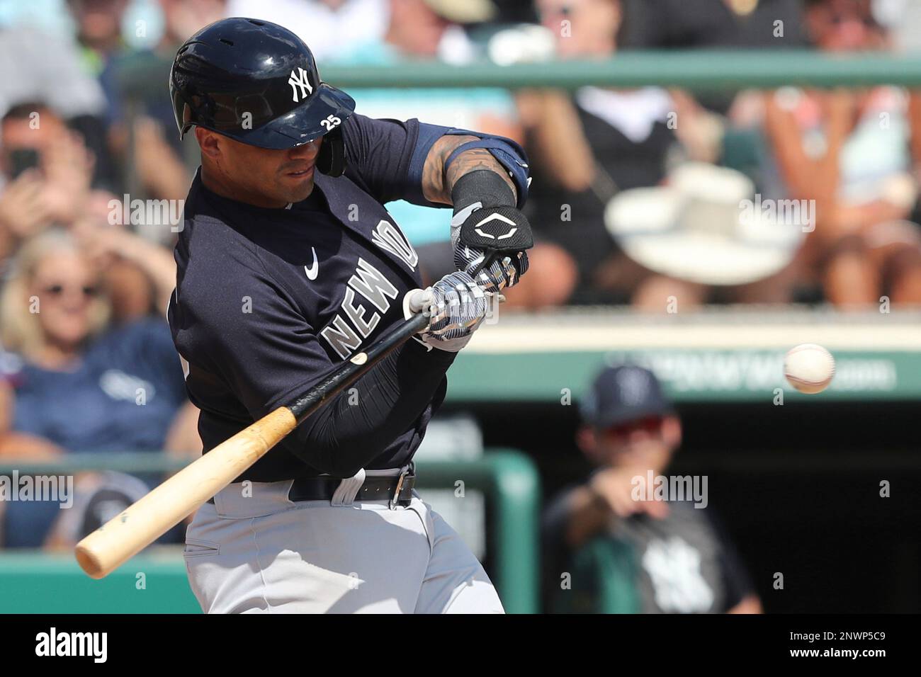 ST. PETERSBURG, FL - FEBRUARY 28: New York Yankees Infielder Gleyber Torres  (25) at bat during the MLB Spring Training game between the New York  Yankees and the Tampa Bay Rays on
