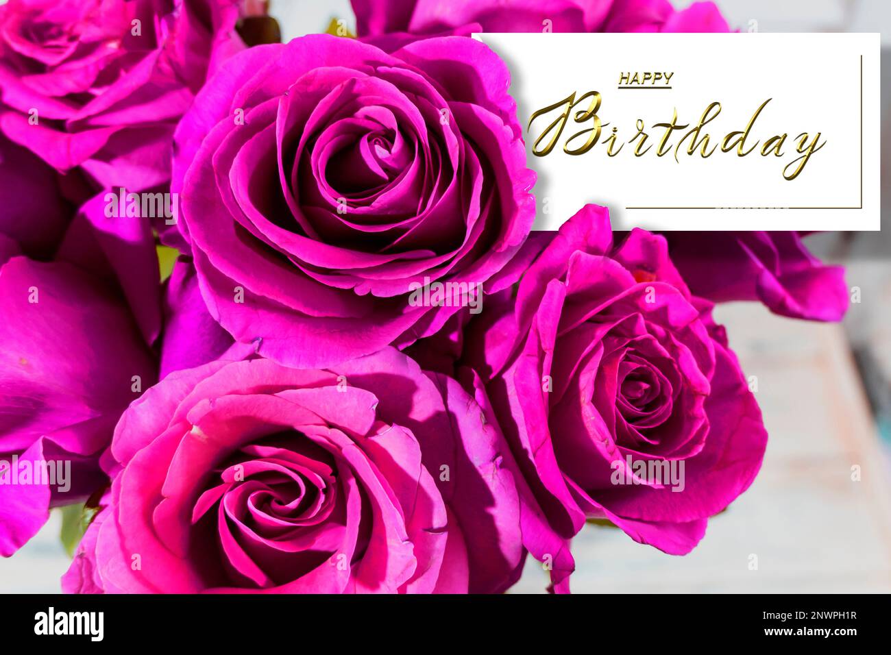 beautiful birthday card with flowers for a woman or a girl Stock Photo