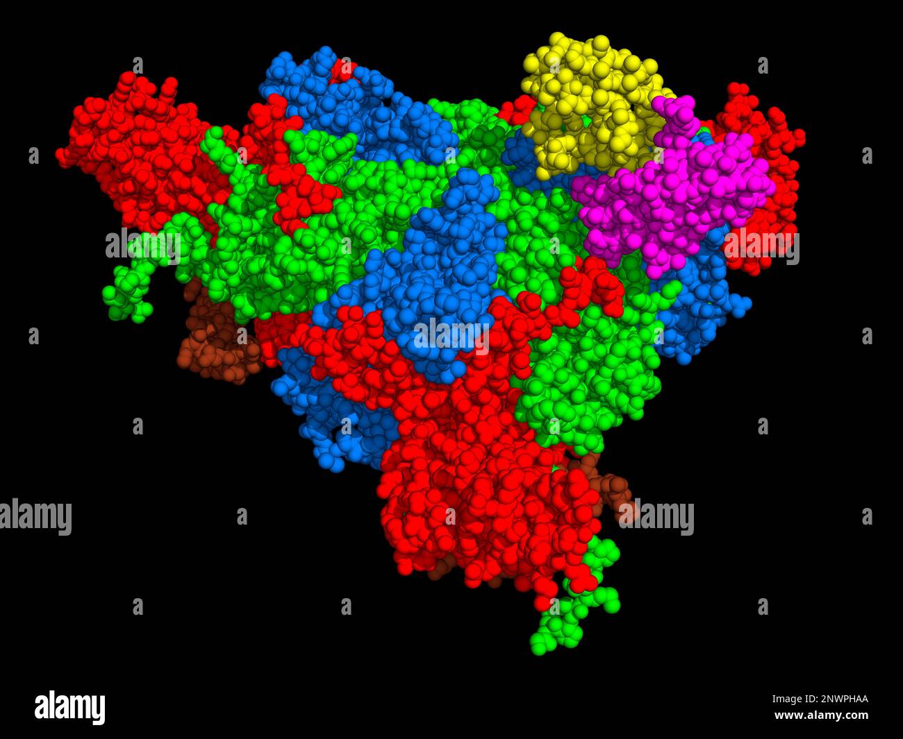 Coxsackievirus capsid subdomain complex, illustration Stock Photo - Alamy