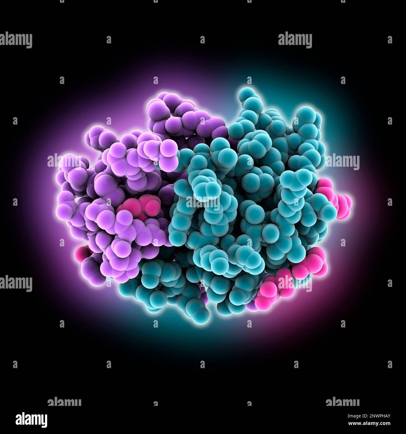 Dimeric human CCL20, illustration Stock Photo Alamy