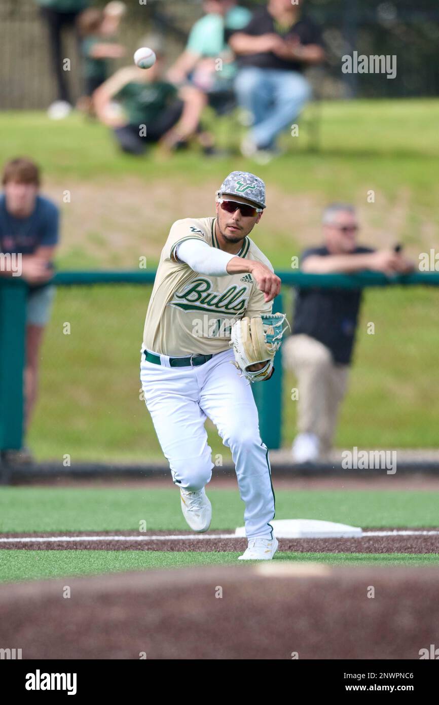 Travis Sankovich - Baseball - USF Athletics